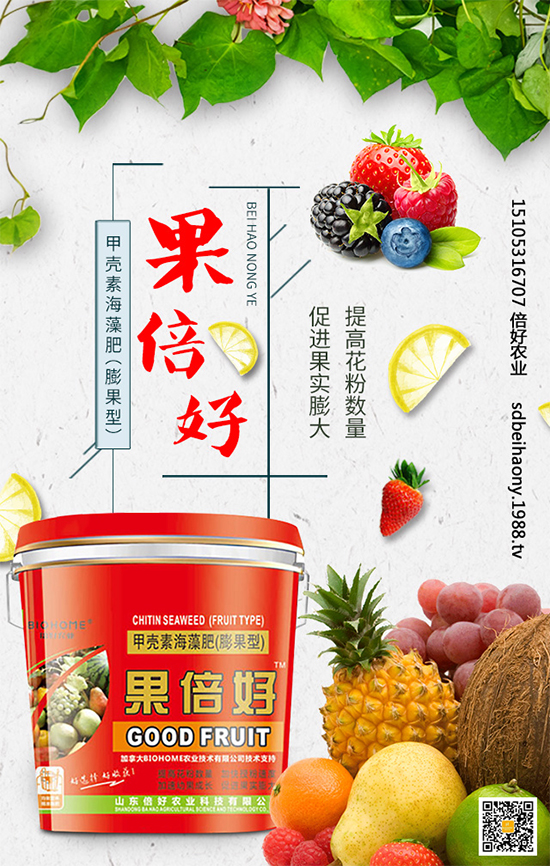 圣女果什么時(shí)間種植？圣女果種植技術(shù)要點(diǎn)有哪些？