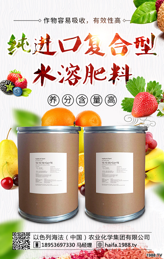 甘藍(lán)菜怎么種植，教你正確種植甘藍(lán)的辦法！