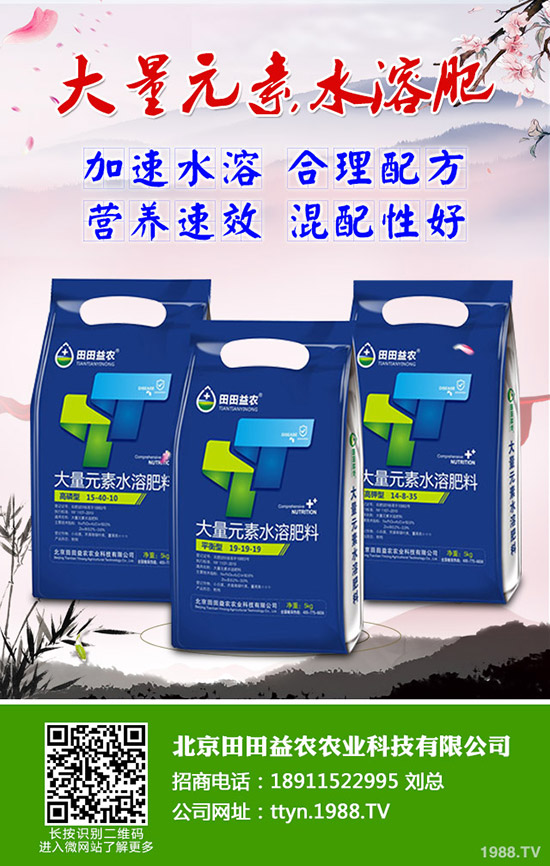 ���տ���ô�N�����տ��߮a(ch��n)�������g(sh��)����Щ��