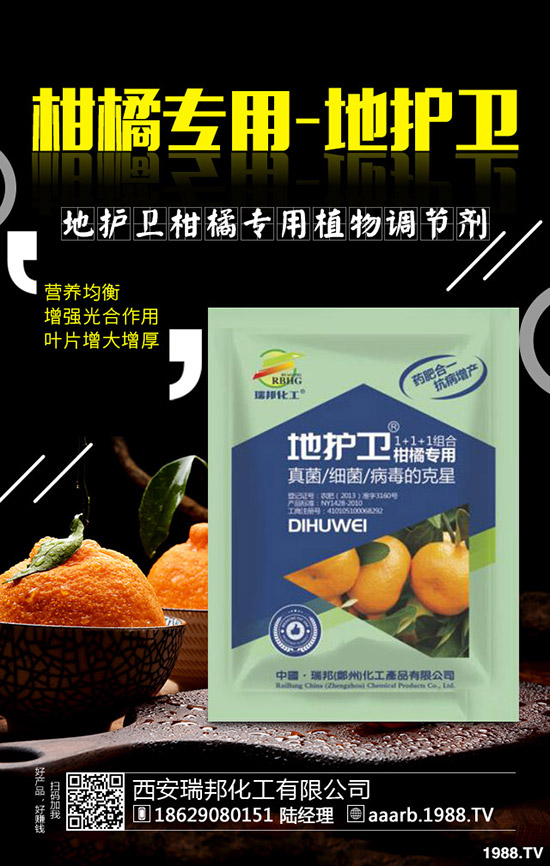 香菜種子如何催芽，香菜提高出苗率的好方法！