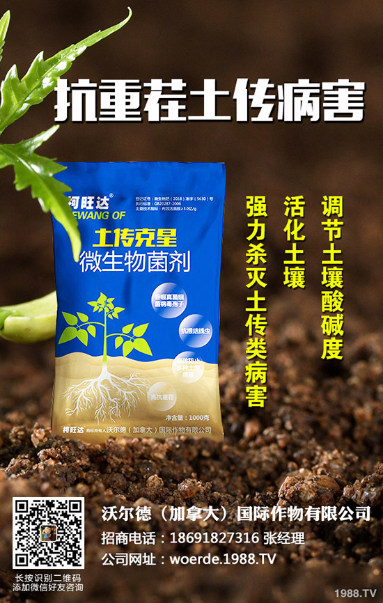 茄子什么時(shí)候育苗，茄子育苗的方法有哪些？