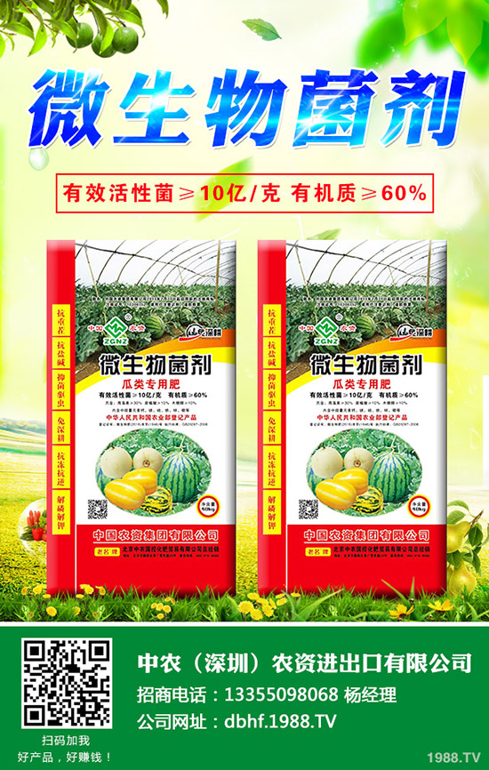 大白菜爛心是什么原因，大白菜爛心防治措施！