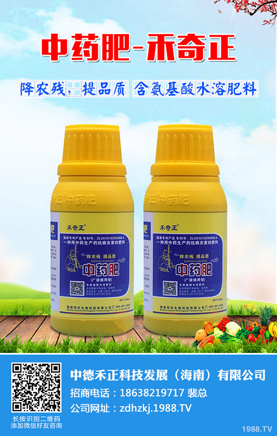 ��z�������������z�ϷNֲС������