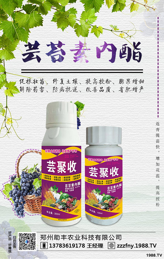 �J�������ժ�����J����ժ����ʲô��̎��