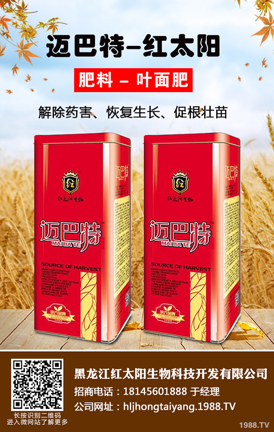 常吃紫蘇有什么好處，紫蘇的作用與功效！