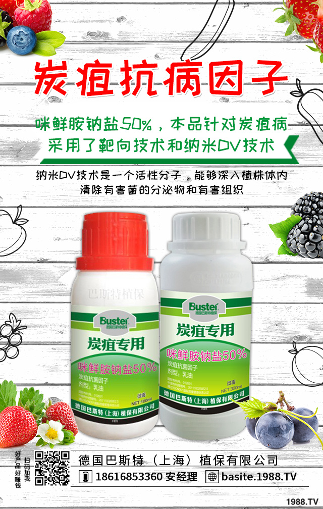 ����̿�Ҳ���ô�k������̿�Ҳ���Ч���μ���