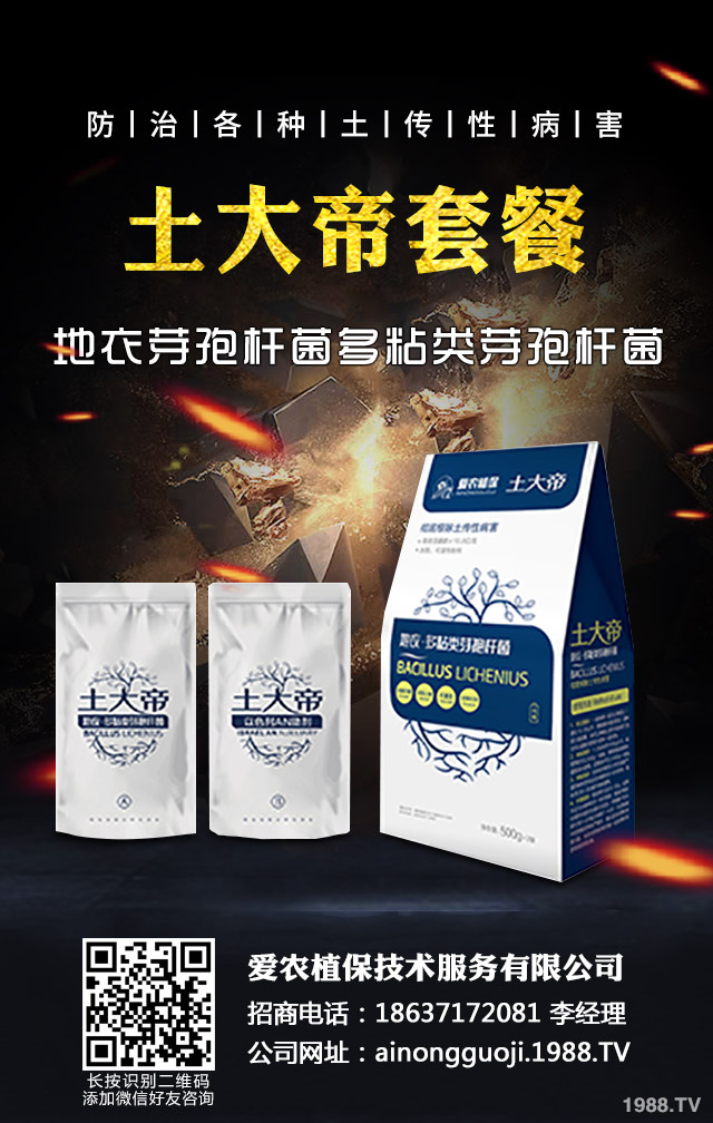 �ﲥС����ô����|(zh��)�����ﲥС������|(zh��)����Ҫ�c