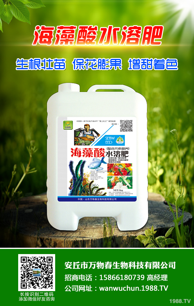 �ﲥС����ô����|(zh��)�����ﲥС������|(zh��)����Ҫ�c