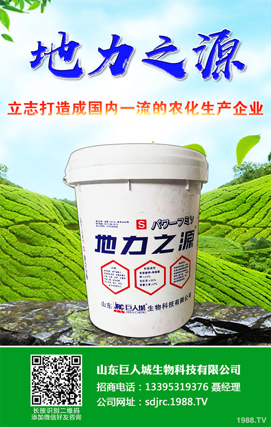 萵苣該如何施肥？萵苣的高產(chǎn)施肥技術(shù)有哪些？這些方法很重要！