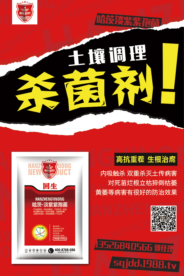 番茄葉片翻卷應(yīng)該怎么預(yù)防？番茄葉片翻卷預(yù)防措施