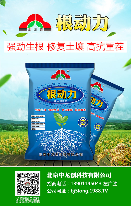 ������̦���l(f��)��ԭ������Щ��������̦�����δ�ʩ��