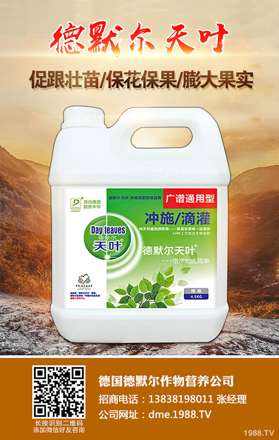 松茸的營(yíng)養(yǎng)價(jià)值有哪些,松茸的功效與作用,食用禁忌!