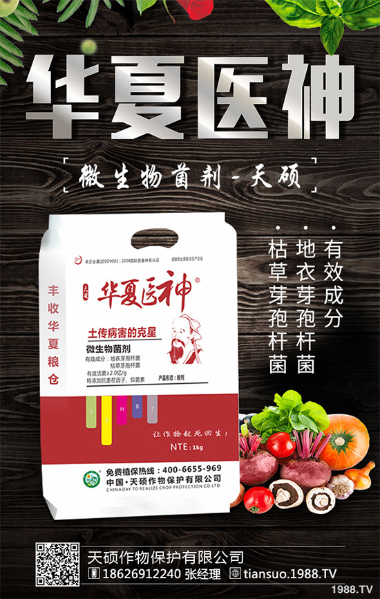     萵苣灰霉病有哪些危害癥狀？是如何引起的？快來看看吧！