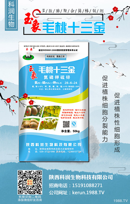 大蔥秋季什么時間種植合適?大蔥秋季種植時間及種植技術!