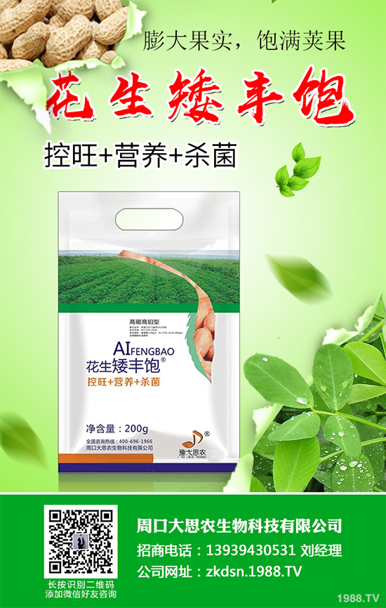 萵苣炭疽病危害這么大,到底該如何防治?萵苣炭疽病的防治方法