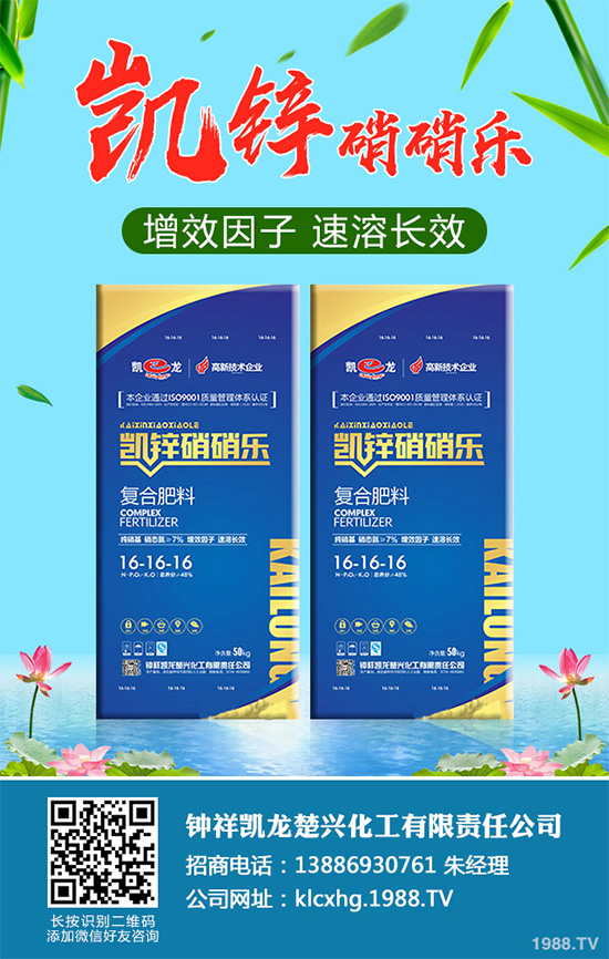     萵苣黑斑病是如何發(fā)生的？有哪些危害？萵苣黑斑病防治措施