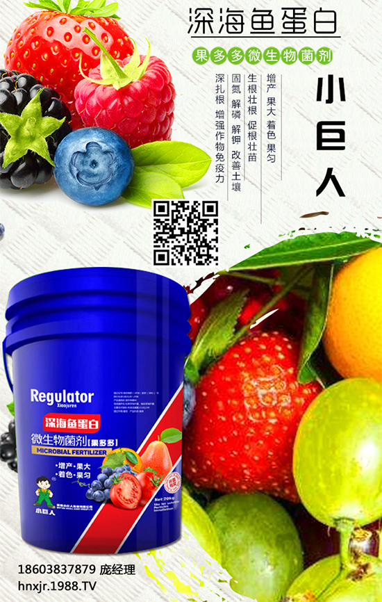 紅薯怎么種植?紅薯種植的高產管理要點