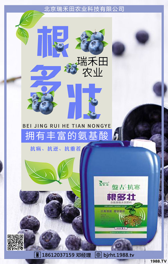 西紅柿什么時間種植，西紅柿種植技巧