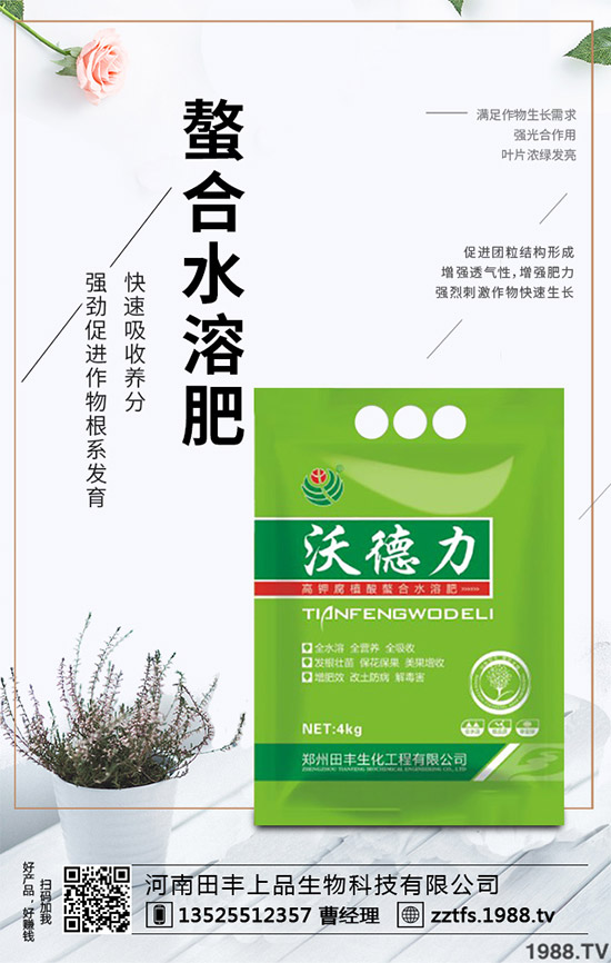 卷心菜有哪些營(yíng)養(yǎng)價(jià)值？吃卷心菜有哪些好處？教你吃出健康！
