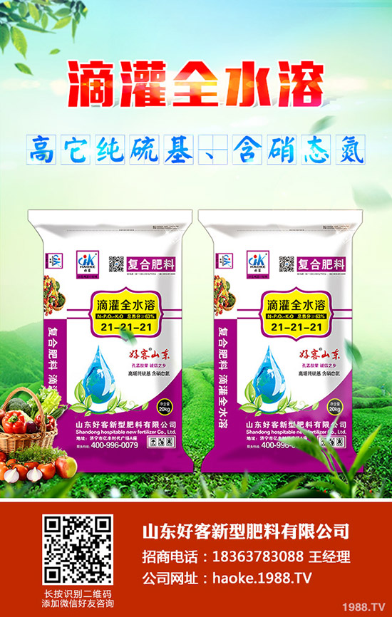 ������ӹ�������ϸ�Ч����������