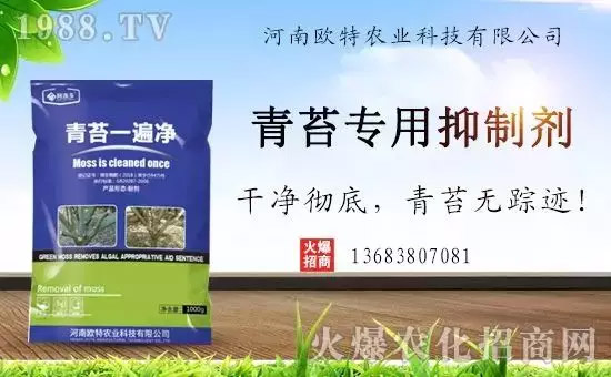 神奇除青苔劑!,不反彈!干凈,青苔無蹤!