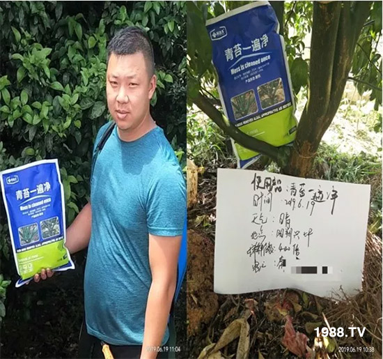 神奇除青苔劑!,不反彈!干凈,青苔無蹤!