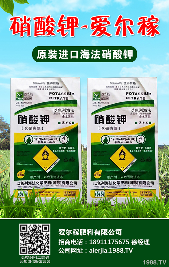 С�[��ô�Nֲ�a������С�[�ķNֲС���ɣ�