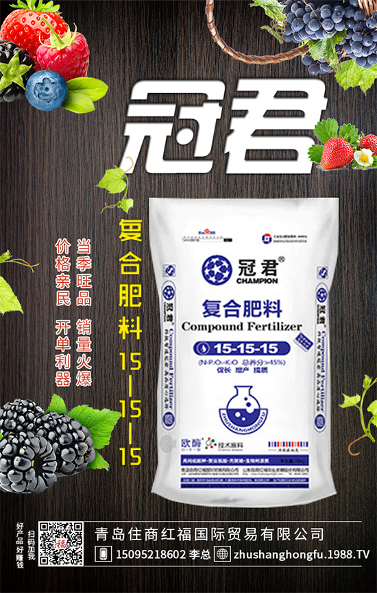 紫甘藍(lán)怎么管理?冬春茬紫甘藍(lán)種植管理要點(diǎn)!