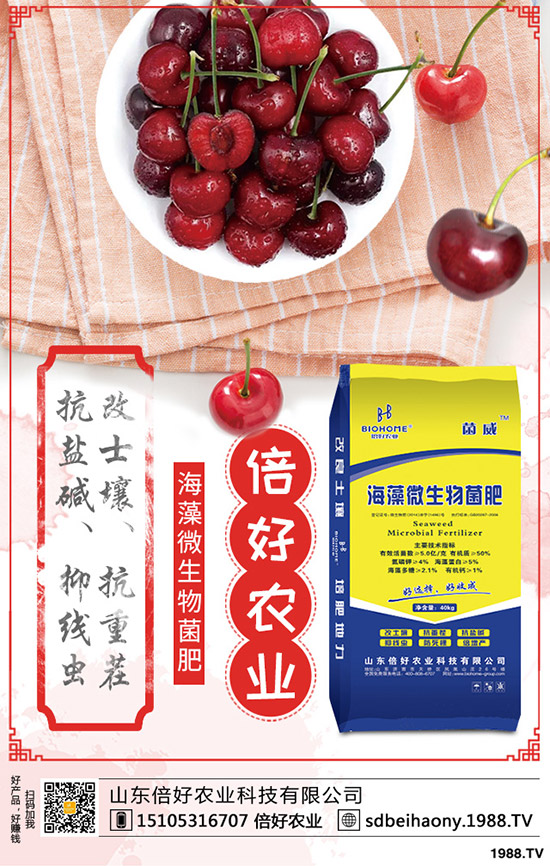 春節(jié)期間!尿素漲幅不大!2020-1-30今日最新尿素價(jià)格早報(bào)!