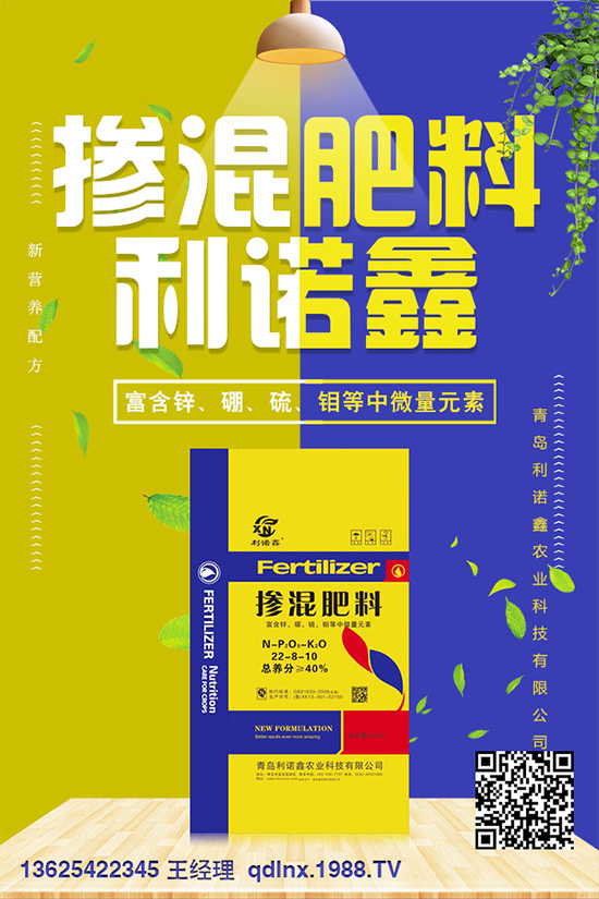 �������(g��)���L(zh��ng)�ڵ����c(di��n)������˽����