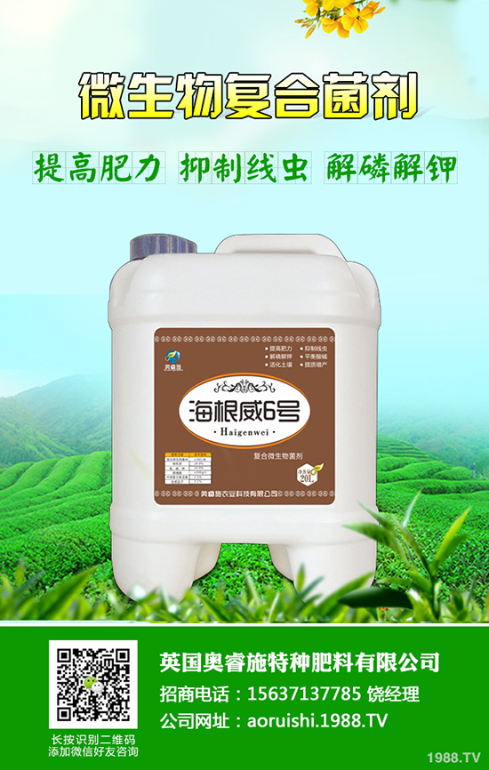 ���۵Ĺ�Ч�c������ʲô���䳲�۵ı�e���I�B(y��ng)�rֵ��
