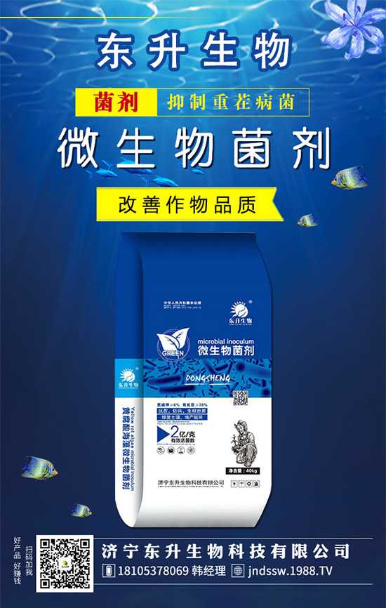 ʯ���ʲô�r(sh��)��޽Ӻ���ʯ���޽ӷ�������Щ����
