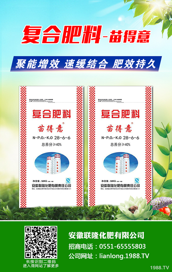 八角楓產(chǎn)地在哪？八角楓怎么種植？