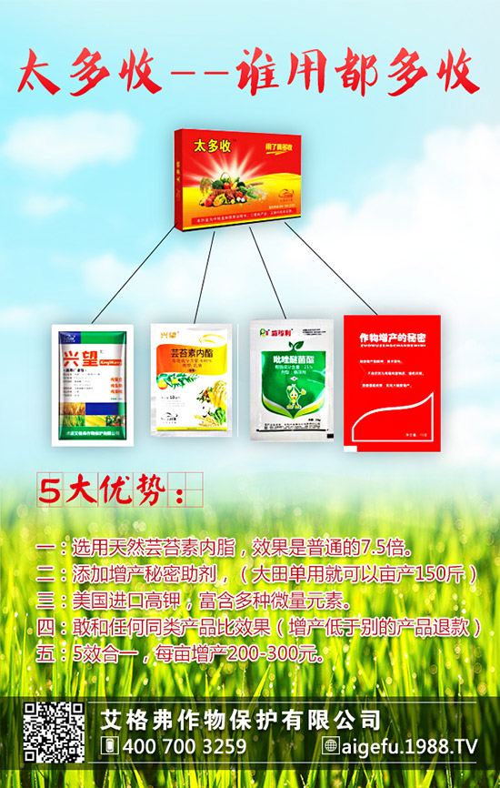 ���۵ķNֲҪ������Щ�����۵ķNֲҪ�c(di��n)��