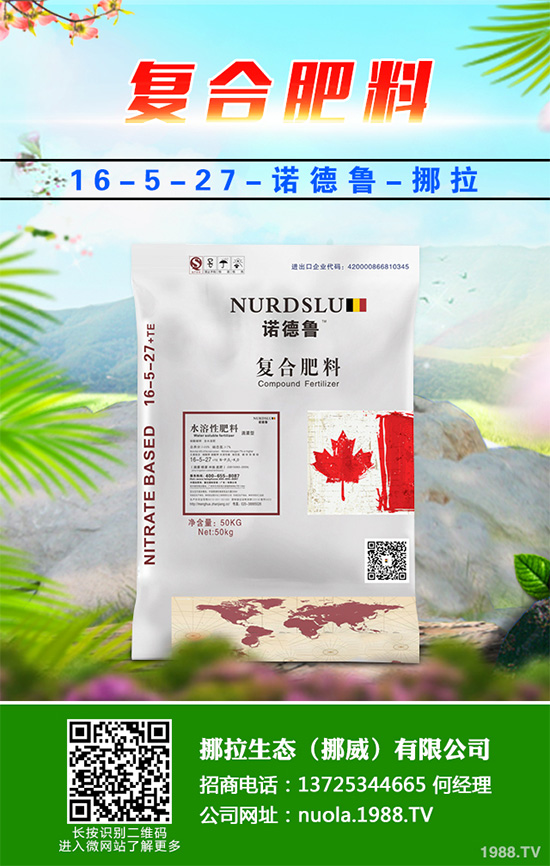 種植什么水果會賺錢?2020年水果種植指南