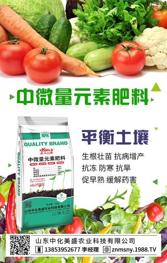 冬季草莓怎么管？冬季草莓管理措施！