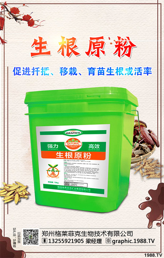 春季甘藍該如何種植？春甘藍高產(chǎn)管理技術(shù)