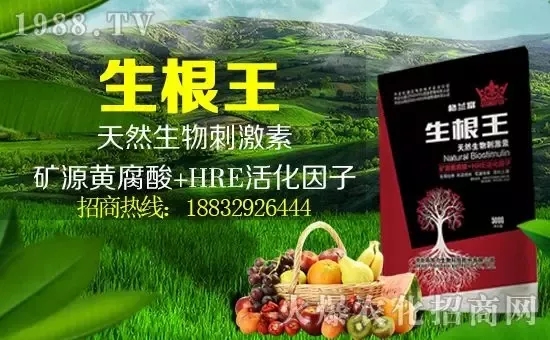С���q�r(ji��)����(g��)�e��(b��o)�r(ji��)���^2500Ԫ/����