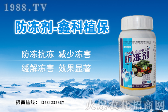 西葫蘆旺長什么原因？西葫蘆如何控旺？西葫蘆旺長補救措施！