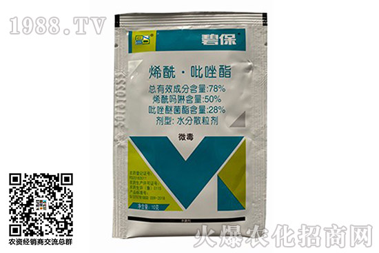 2020.10.15���r���������r������