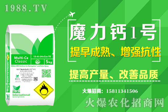 十月下旬適合種植什么中藥材？哪些中藥材賺錢收益高？