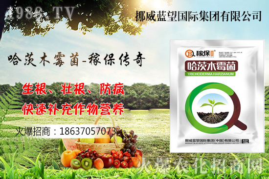 �ի@���С����΃�������С�������P�I�c������