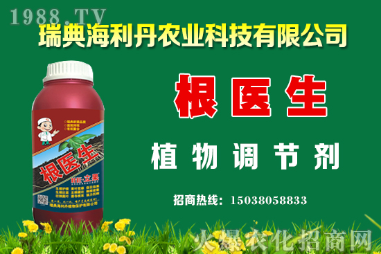 油菜怎么管理能提高產(chǎn)量？油菜抗寒防凍措施有哪些？