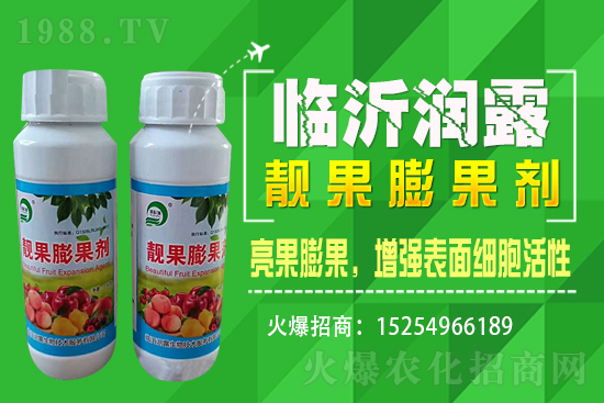 水稻價格野蠻上漲，漲價原因已揭開，能漲到1.6嗎？