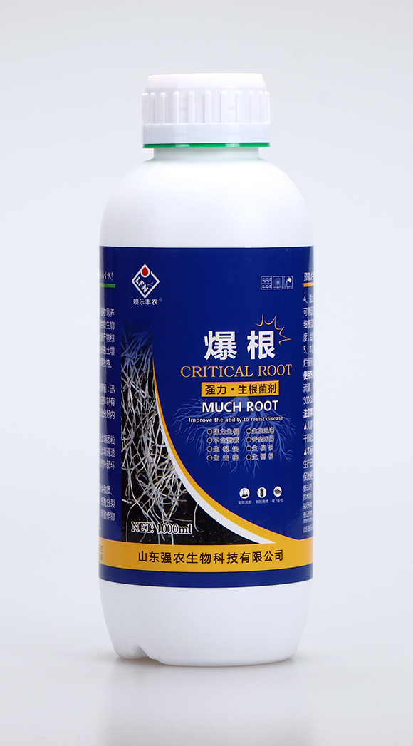 ��(qi��ng)������������1