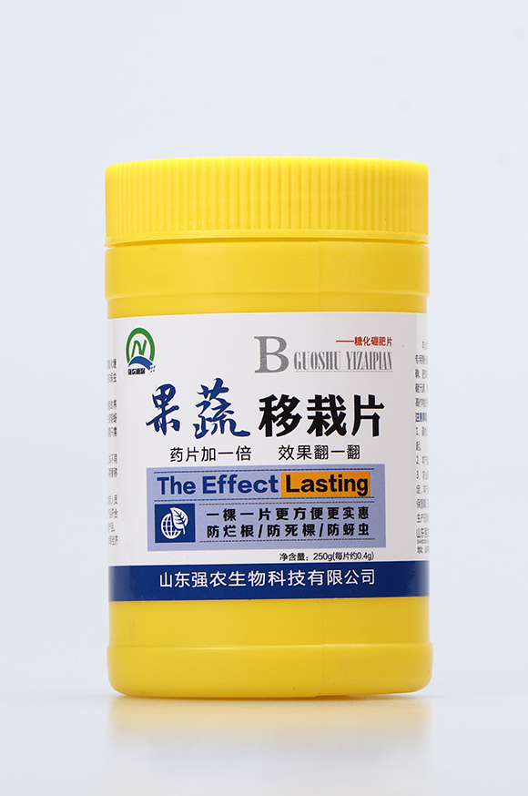 ��������Ƭ1