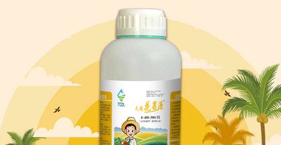 50g��������-��ʩ��_02