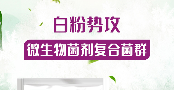 �w����-��Ч-�����r(n��ng)�I(y��)_01