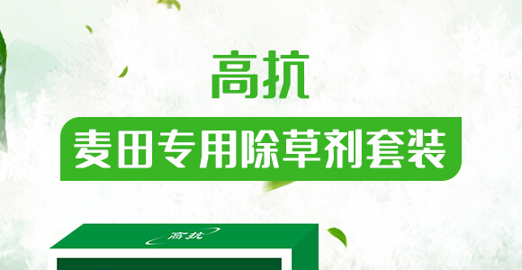 ����ó��݄����b-�߿�-�����Ѻ�_01