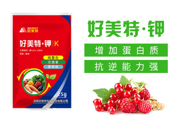 �����ء��-������_02